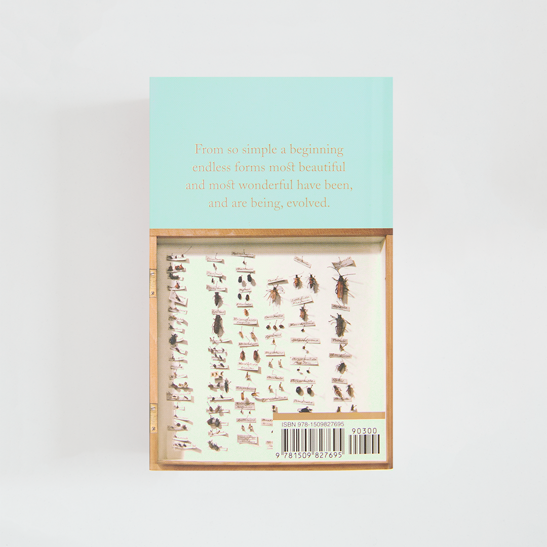 Trasera del libro On the Origin of Species de Charles Darwin (The Collector's Library) de color celeste acompañada de imagen inspirada en la novela.