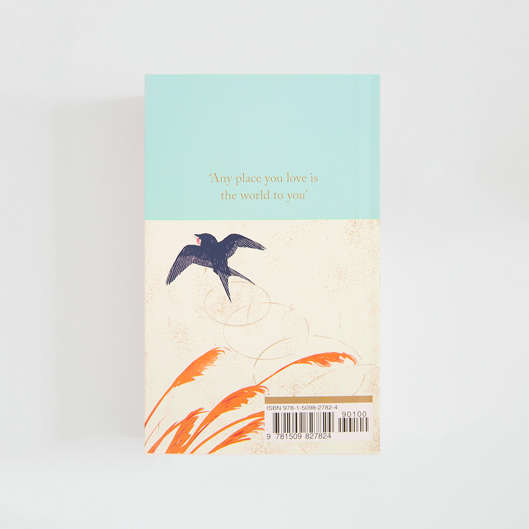 Trasera del libro The Happy Prince de Oscar Wilde (The Collector's Library) de color celeste acompañada de imagen inspirada en la novela.