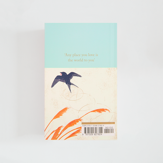 Trasera del libro The Happy Prince de Oscar Wilde (The Collector's Library) de color celeste acompañada de imagen inspirada en la novela.